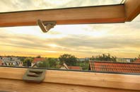 rated Gubbions Green roof window companies
